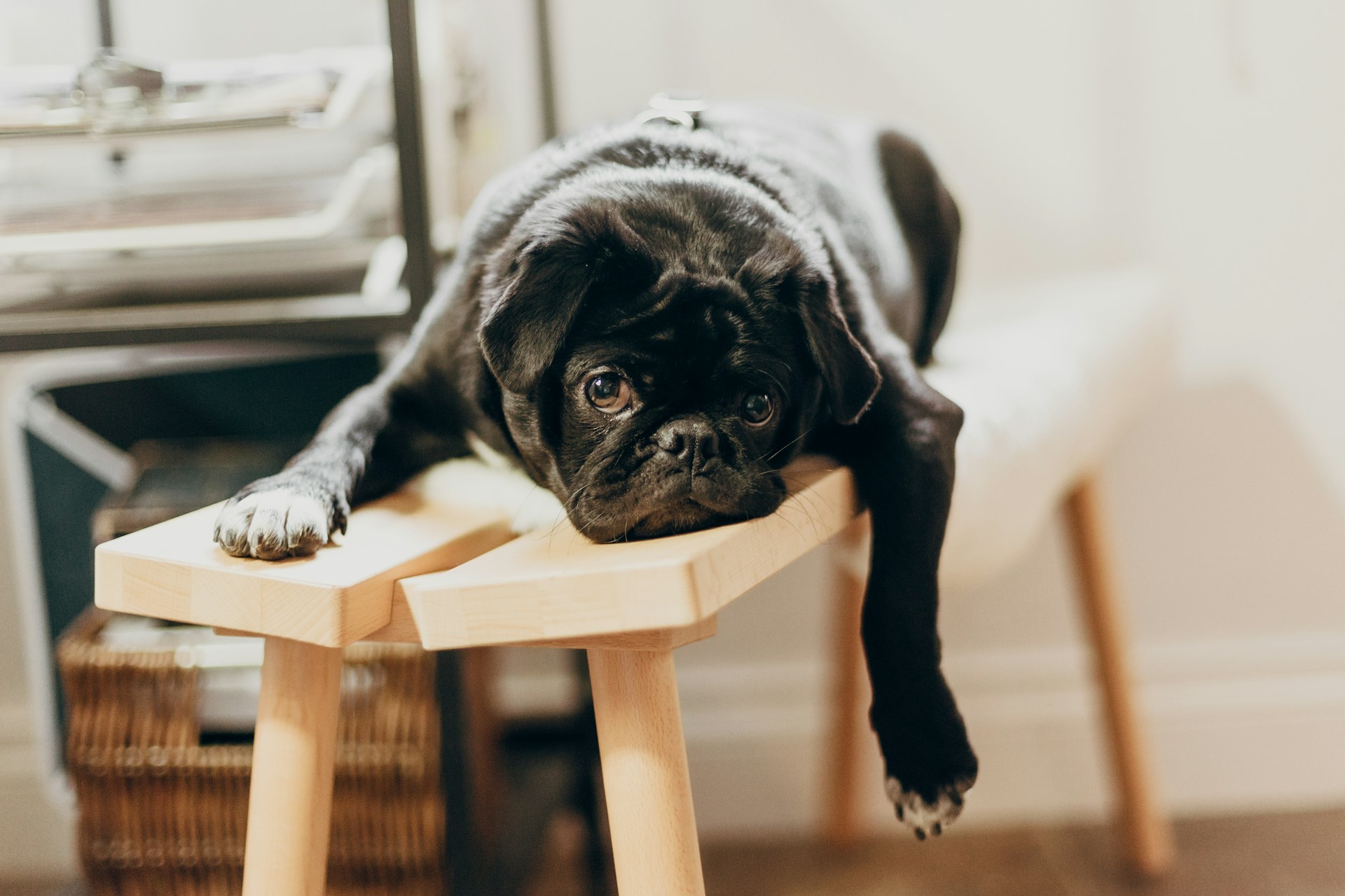 Newsletter cover — Why You Need to Start Being Lazy at Work