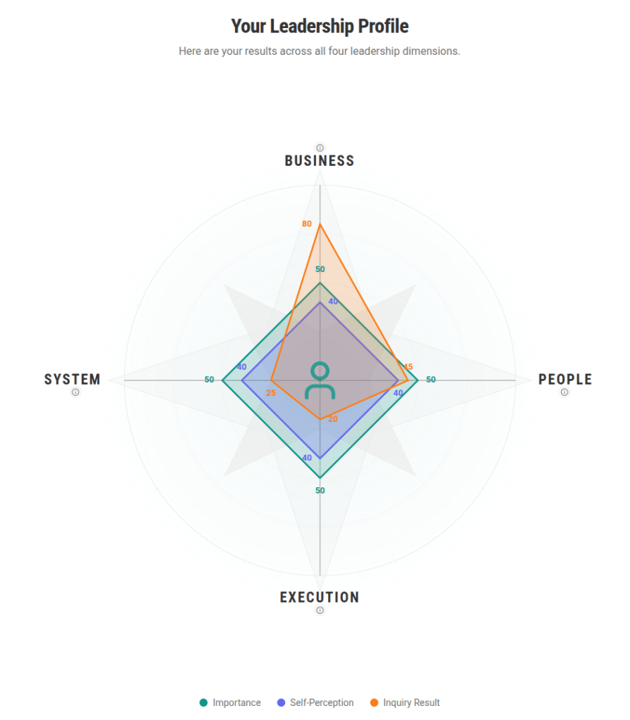 Emerging Leadership Navigator profile mapping Business, People, Execution, and System dimensions